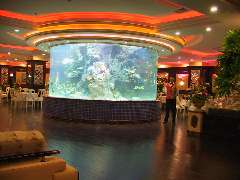 大型觀賞魚(yú)缸造景